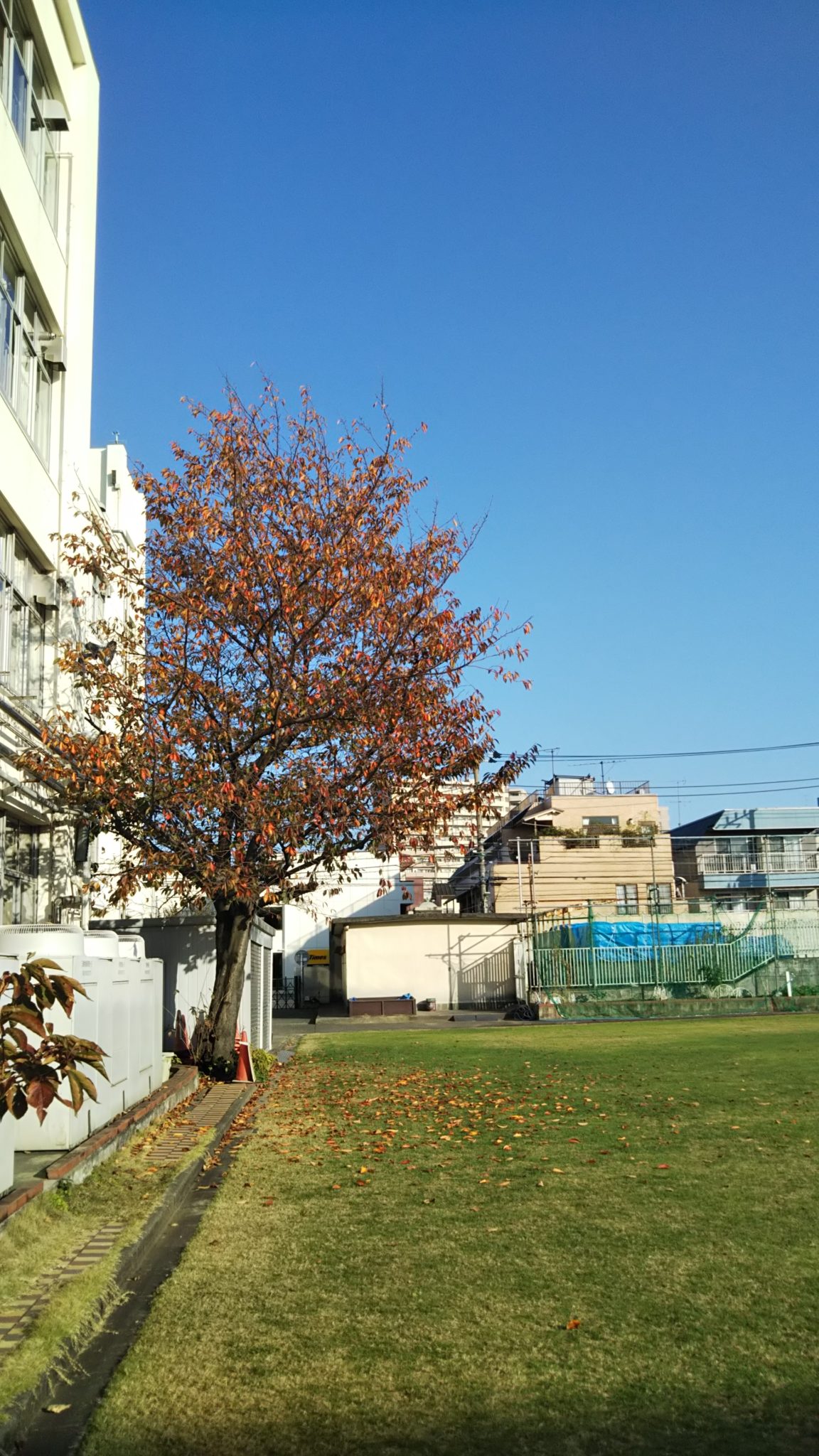 銀色猫喫茶店 DEATHNOTE デスノート コラボ 銀色猫喫茶室 ― DEATH NOTE